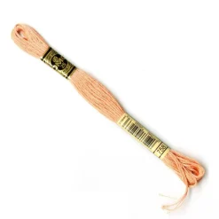DMC® 6 Strand Embroidery Floss, Pink