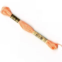 DMC® 6 Strand Embroidery Floss, Pink