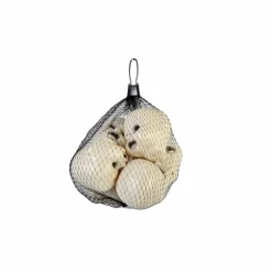 Doll Heads, 6ct. by Ashland®