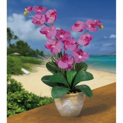 25" Double Phalaenopsis Silk Orchid Flower Arrangement in Ceramic Pot