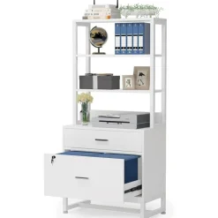 2-Drawer Lockable Filing Cabinet with Open Shelves and Adjustable Storage for Office or Home