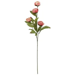 27.5" Dried Coral Peony Stem by Ashland®