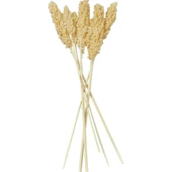 Dried Corn Maize Natural Foliage with Long Stems