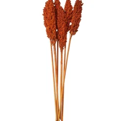 Dried Corn Maize Natural Foliage with Long Stems
