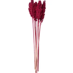Dried Corn Maize Natural Foliage with Long Stems