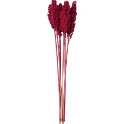 Dried Corn Maize Natural Foliage with Long Stems