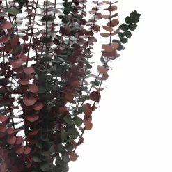 Dried Eucalyptus Bundle by Ashland®