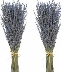 Dried Lavender Bouquets – 2 Bunches, 100% Natural Purple Flowers, 200–220 Stems (100g/3.5oz), 15–17 Inch, for Home Decor, Wedding, Bathroom, Crafts, and Photo Props