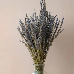 Dried Lavender Flowers Bundles 200 Stems Dry Lavender Bunch for Home Decor, Crafts, Wedding Bouquets