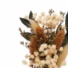 6.7" Dried Mixed Mini Bundle by Ashland®