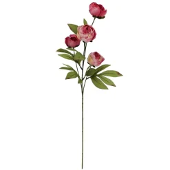 27.5" Dried Pink Peony Stem by Ashland®