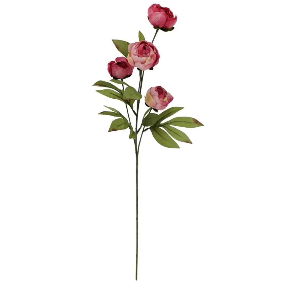 27.5" Dried Pink Peony Stem by Ashland®