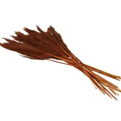 Dried Plant Bamboo Natural Foliage with Long Stems