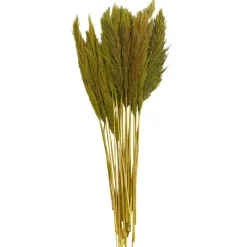 Dried Plant Bamboo Natural Foliage with Long Stems