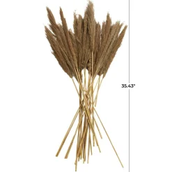 Dried Plant Bamboo Natural Foliage with Long Stems