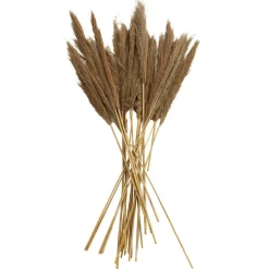 Dried Plant Bamboo Natural Foliage with Long Stems