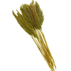 Dried Plant Bamboo Natural Foliage with Long Stems