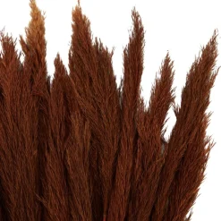 Dried Plant Bamboo Natural Foliage with Long Stems