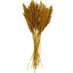 Dried Plant Bamboo Natural Foliage with Long Stems