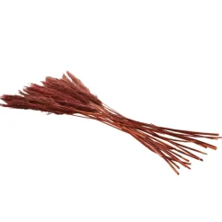Dried Plant Bamboo Natural Foliage with Long Stems