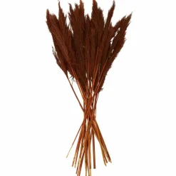 Dried Plant Bamboo Natural Foliage with Long Stems