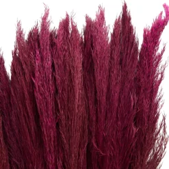 Dried Plant Bamboo Natural Foliage with Long Stems