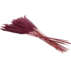 Dried Plant Bamboo Natural Foliage with Long Stems