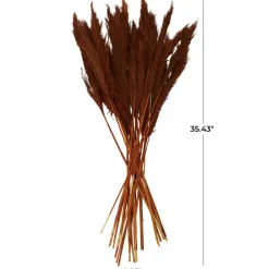 Dried Plant Bamboo Natural Foliage with Long Stems