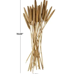 Dried Plant Bunny Tail Natural Foliage with Long Stems