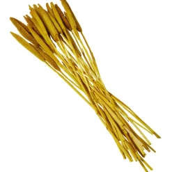 Dried Plant Bunny Tail Natural Foliage with Long Stems
