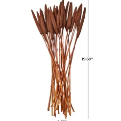 Dried Plant Bunny Tail Natural Foliage with Long Stems