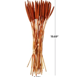Dried Plant Bunny Tail Natural Foliage with Long Stems