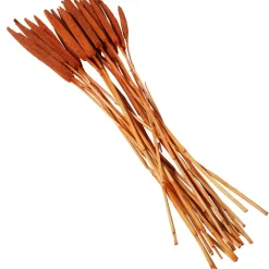 Dried Plant Bunny Tail Natural Foliage with Long Stems