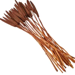 Dried Plant Bunny Tail Natural Foliage with Long Stems