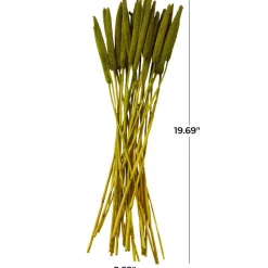 Dried Plant Bunny Tail Natural Foliage with Long Stems