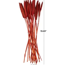 Dried Plant Bunny Tail Natural Foliage with Long Stems