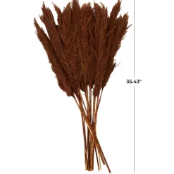 Dried Plant Pampas Natural Foliage with Long Stems