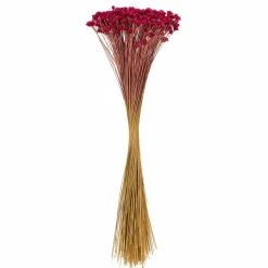 20" Dried Rspbrry Hil Flower Bunch 16 oz
