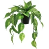18" Dripping Evergreen Leaves Potted Plant by Ashland®