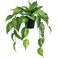 18" Dripping Evergreen Leaves Potted Plant by Ashland®