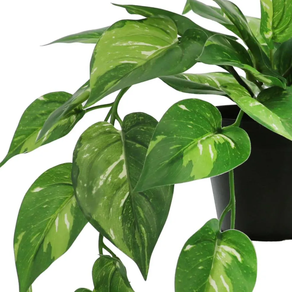 18" Dripping Evergreen Leaves Potted Plant by Ashland®
