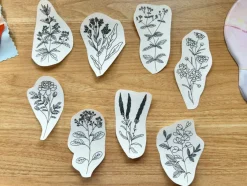 Dye Plants Embroidery Patterns - Botanical Stick and Stitch Embroidery