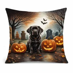 Edge Collections – Multicolor – Spooky Halloween Decorative Patio & Couch Fabric Pillow – 1 Piece