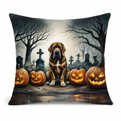 Edge Collections – Multicolor – Spooky Halloween Decorative Indoor Outdoor Fabric Pillow – 1 Piece