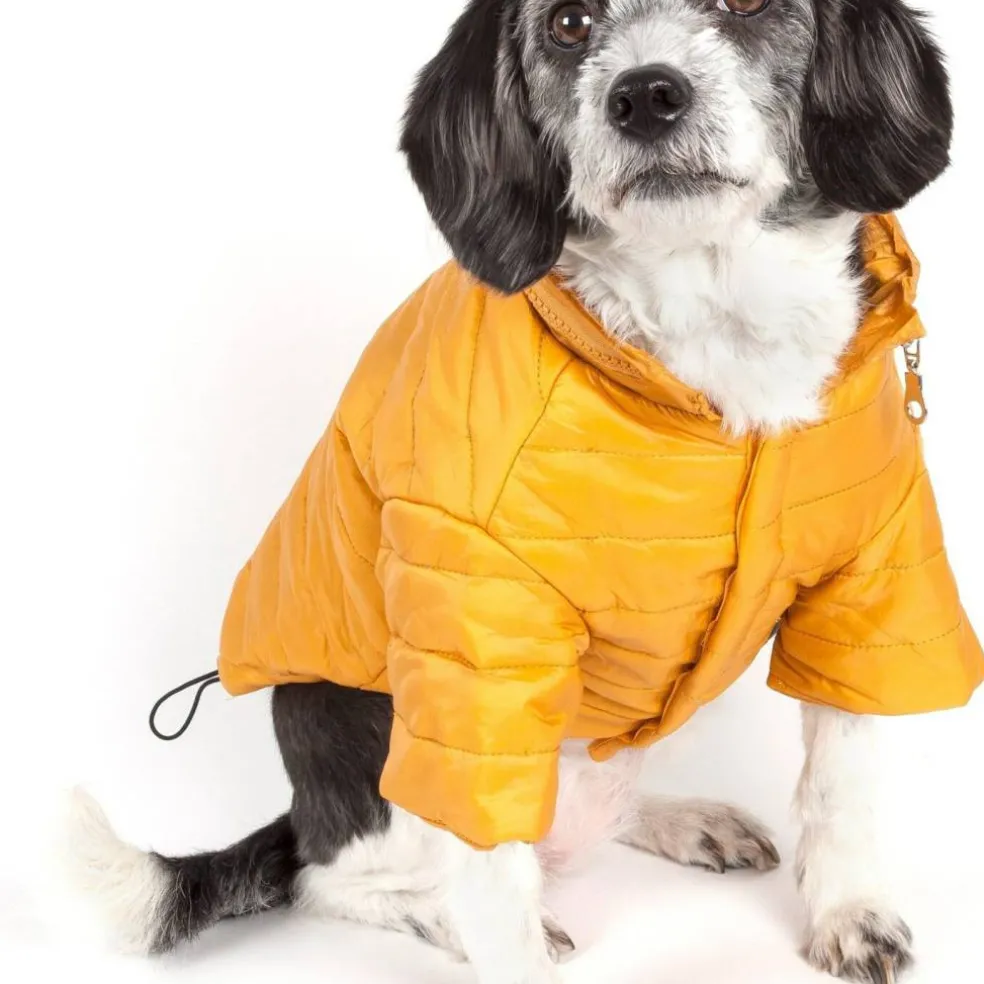 Edge Collections - X-Small - Orange - Sporty Avalanche Dog Coat - 1 Piece
