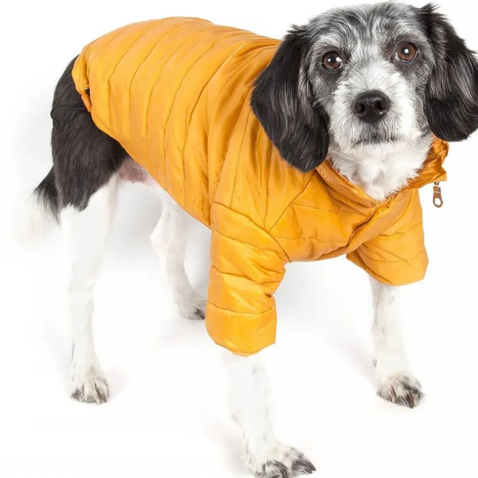 Edge Collections - X-Small - Orange - Sporty Avalanche Dog Coat - 1 Piece