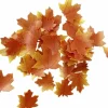 Edible Fall Leaves Set of 35 Thanksgiving Cake Decorations,(Brown)