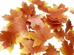 Edible Fall Leaves Set of 35 Thanksgiving Cake Decorations,(Brown)