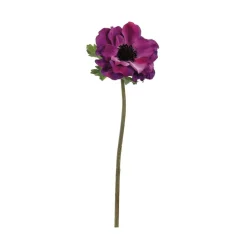 Eggplant Anemone Spray