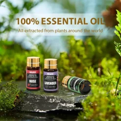 Essential Oil Gift Set, for Diffuser, Humidifiers, Essential Oil Set for DIY Candle and Soap Making, Halloween, Christmas